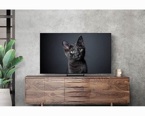 TV Samsung Oled 55" 4K Ultra HD - QE55S90CAT