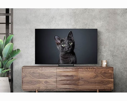 TV Samsung Oled 55" 4K Ultra HD - QE55S90CAT