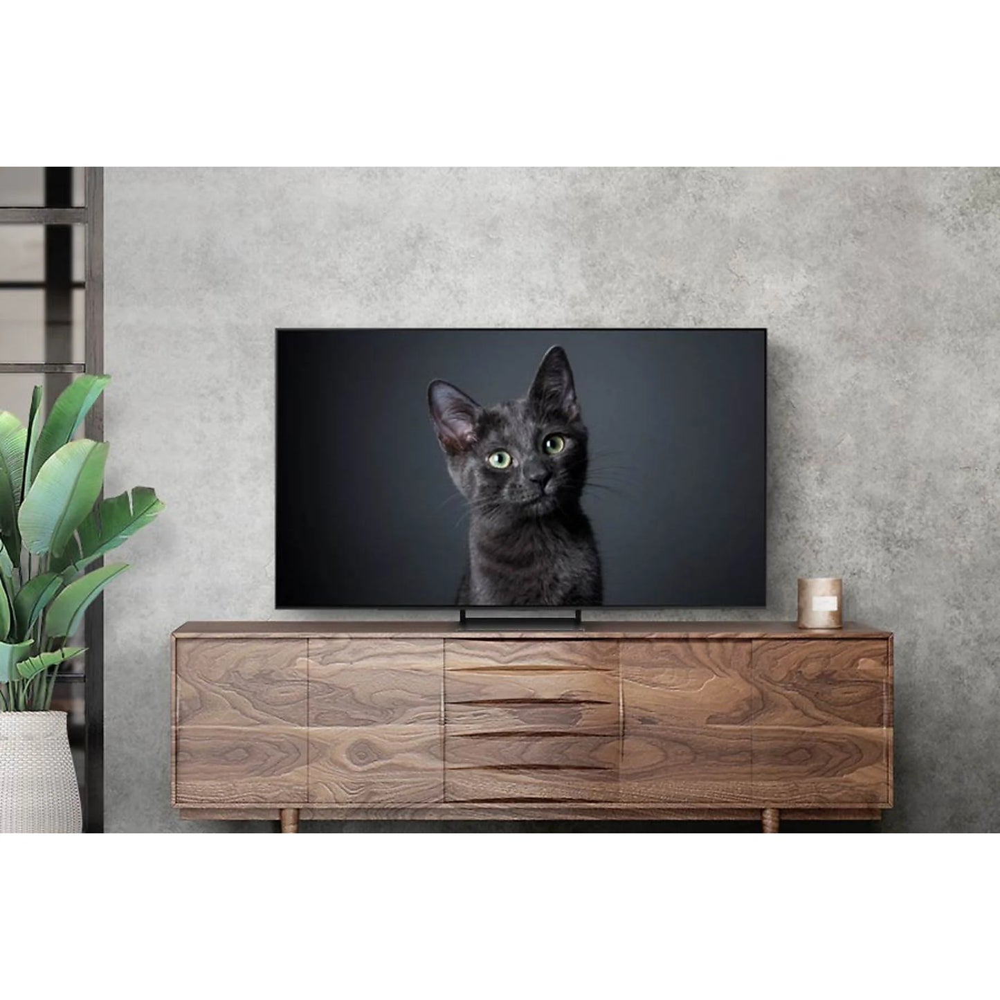 TV SAMSUNG QE65S90CAT -  (65 ", UHD 4K, OLED)