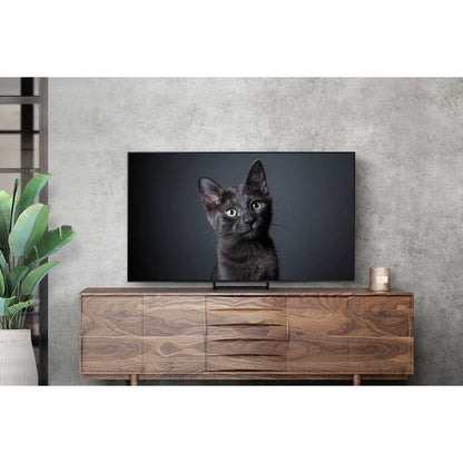 TV SAMSUNG QE65S90CAT -  (65 ", UHD 4K, OLED)